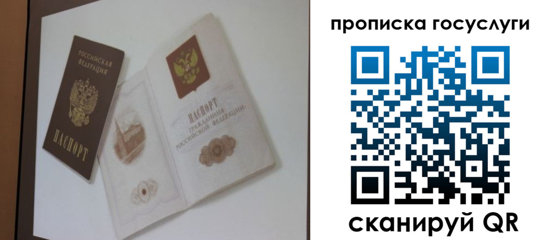 прописка 2025 в Находке